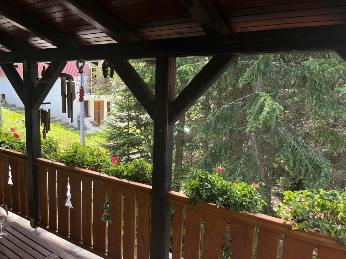 Vila Idila Žabljak Esterno foto