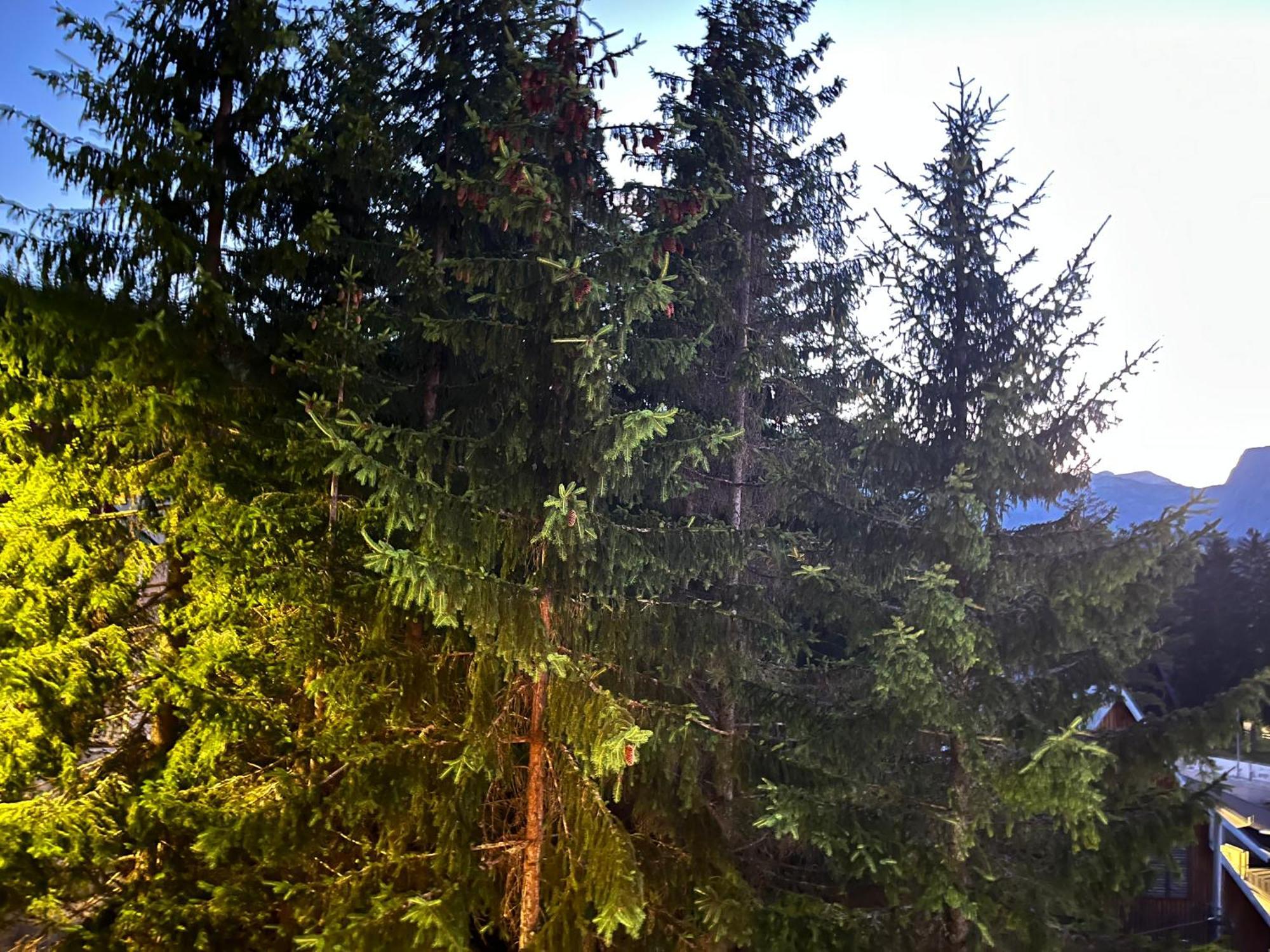 Vila Idila Žabljak Esterno foto